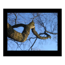 Bare Branches posters by musicalSaranader Bare Branches posters
