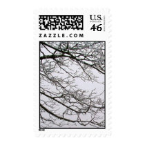 Bare but not Barren Postage Stamps