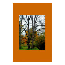 Bare posters by ladyfirebird93 Bare posters