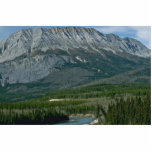Bare Ridge Photo Cutout