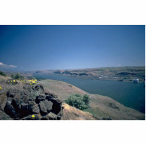 Bare River Photo Cut Outs