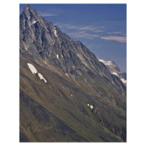 Bare Steep Mountain Full Color Flyer