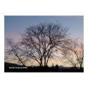 Bare Tree at Dusk print