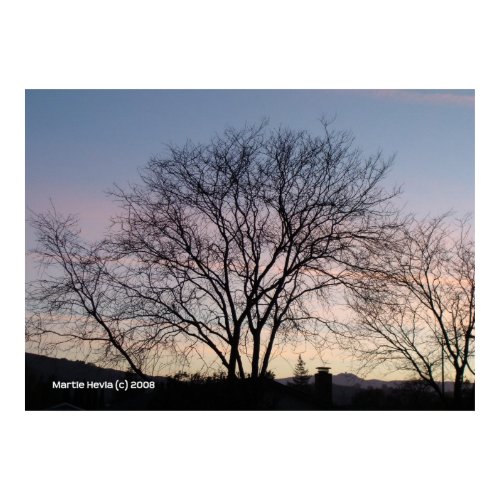 Bare Tree at Dusk print