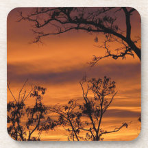 Bare Tree At Sunset Coasters
