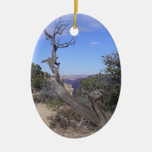 bare tree grand canyon christmas ornaments zazzle bare tree grand canyon christmas ornaments zazzle