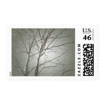 Bare Tree Horizontal Stamp 2