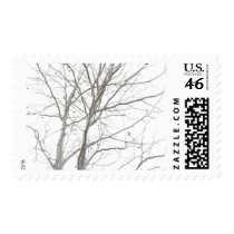 Bare Tree Horizontal Stamp