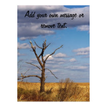 Bare Tree posters