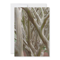 Bare Trees Custom Invite