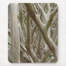 Bare Trees Mousepad