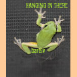 Barely Hanging In There Frog T-Shirt for Women