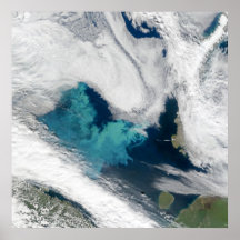 Barents Sea Bloom of Phytoplankton