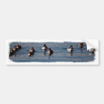 BARGOL Barrows Goldeneyes Bumper Stickers