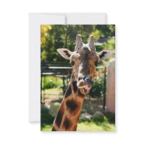 Baringo Giraffe Personalized Announcement