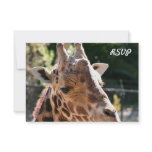 Baringo Giraffe Custom Invitation
