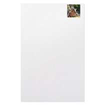 Baringo Giraffe Stationery Paper