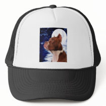 Bark at the moom hats