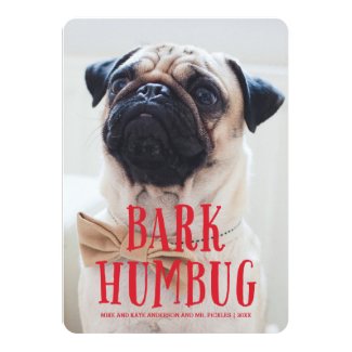 Bark Humbug Cute Puppy Dog | Holiday Photo 5x7 Paper Invitation Card