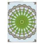 Bark Leaves Stone Kaleidoscope Art 3 Cards