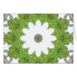 Bark Leaves Stone Kaleidoscope Art 5 Cards