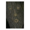 Bark Man posters