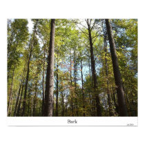 Bark posters by JLWinther Bark posters