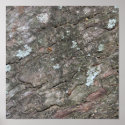 Bark posters