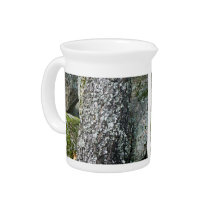 Bark tree texture with lichen drink pitcher