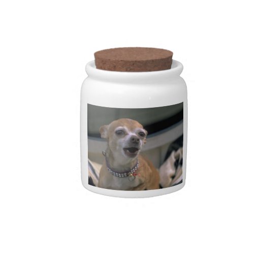 Barking Chihuahua Dog Treat Candy Jar | Zazzle