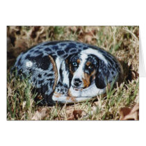 "Barkley" dog rock card