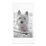 Barko on the bed photo cards