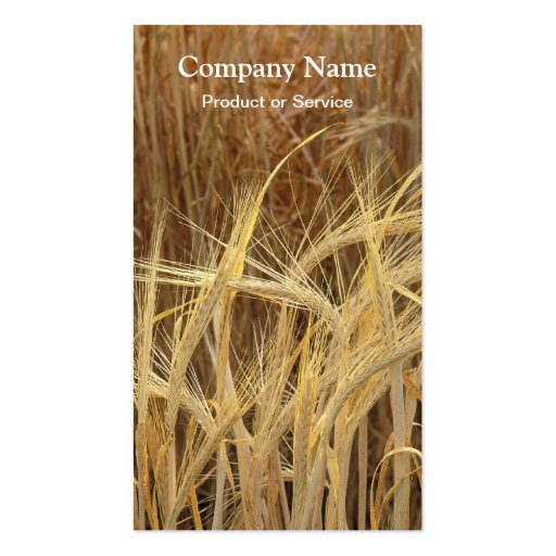 Barley business card