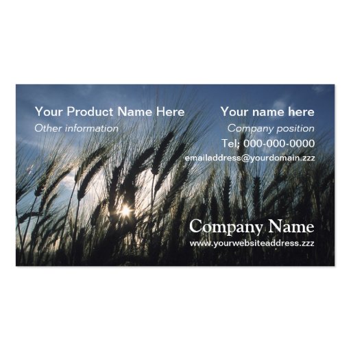 Barley business card (front side)