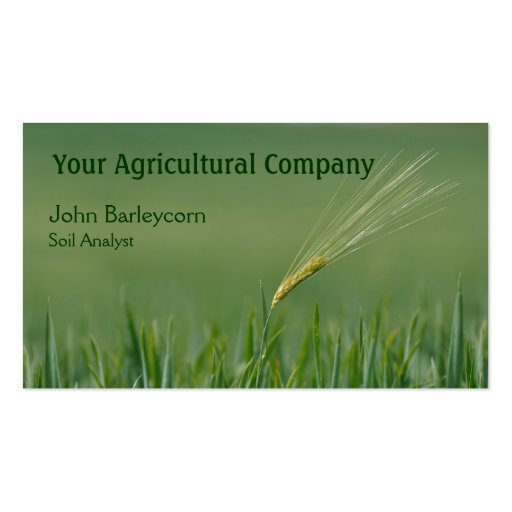 Barley business card template (front side)