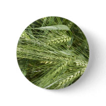 Barley Field buttons
