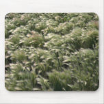 Barley field mouse pad