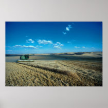 Barley harvest posters