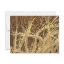 Barley invitations