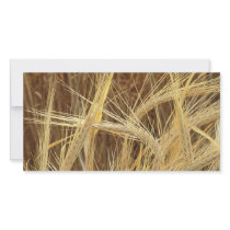 Barley Personalized Photo Card