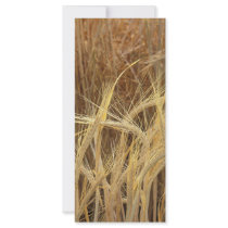Barley rack cards