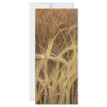 Barley rack cards