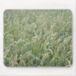 Barley stalks mouse pads