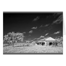 Barn and tree on Texas ranch Cards