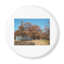 Barn and Trees with Fall Leaves. magnets
