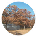 Barn and Trees with Fall Leaves. stickers