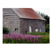 Barn and Wildflowers Post Cards