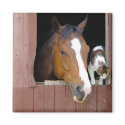 Barn Buddies Magnet