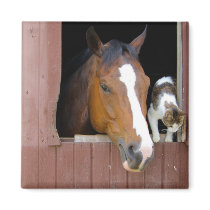 Barn Buddies Magnet by SweetRascal Barn Buddies Magnet