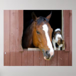 Barn Buddies Posters